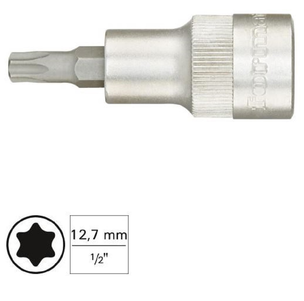 10387719 FORMAT DOPSLEUTEL TORX B 1/2-T60 61290060