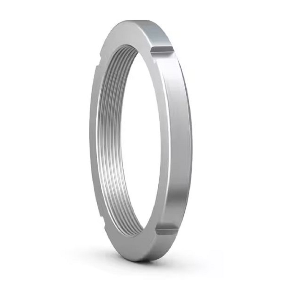 SKF borgmoer N serie